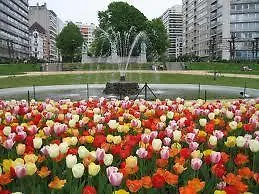Archimede Apartment Brüssel